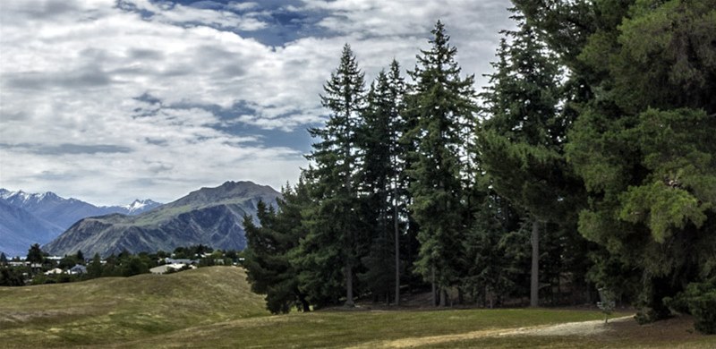 Lake Wanaka